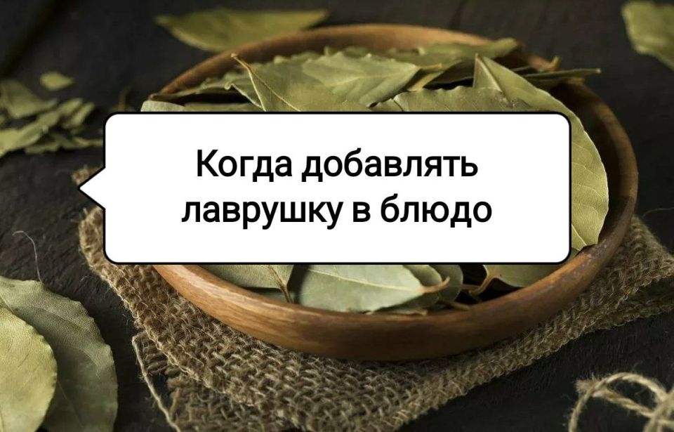  :  ,     