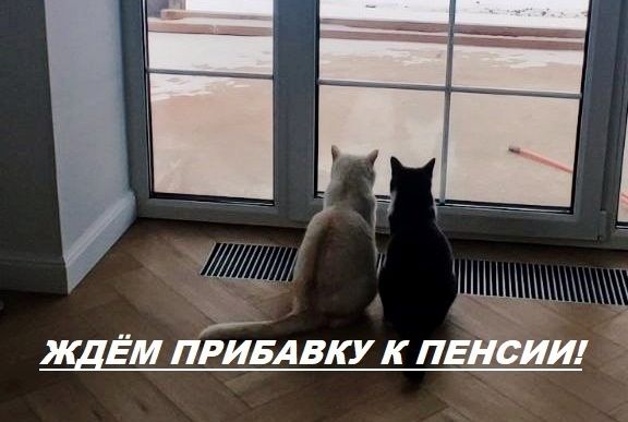    :   