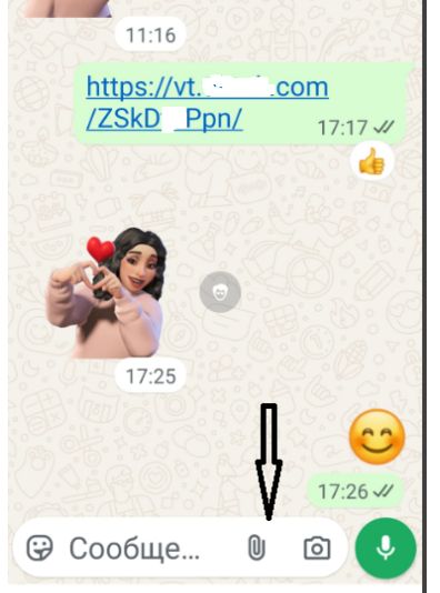  WhatsApp:        