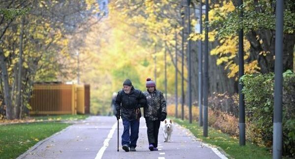 Где в России сосредоточено больше всего пенсионеров?