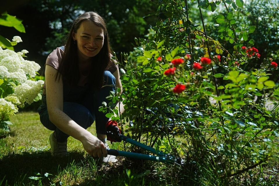 Секреты правильной подготовки почвы к овощному сезону