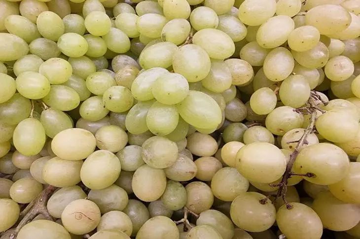 Диетолог предупредила, кому опасно увлекаться виноградом