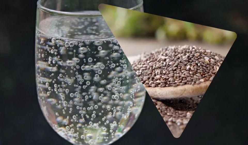 Семена чиа: маленький суперфуд с большими возможностями