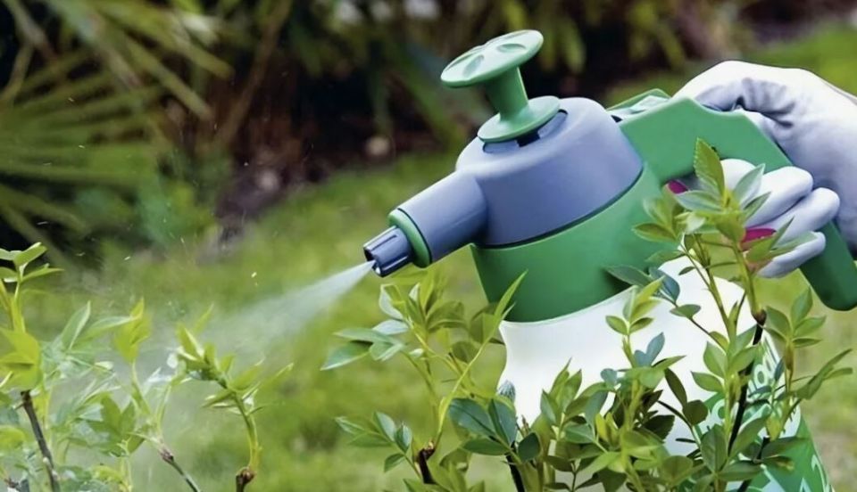 Экологичные решения для вашего сада: мир биопрепаратов