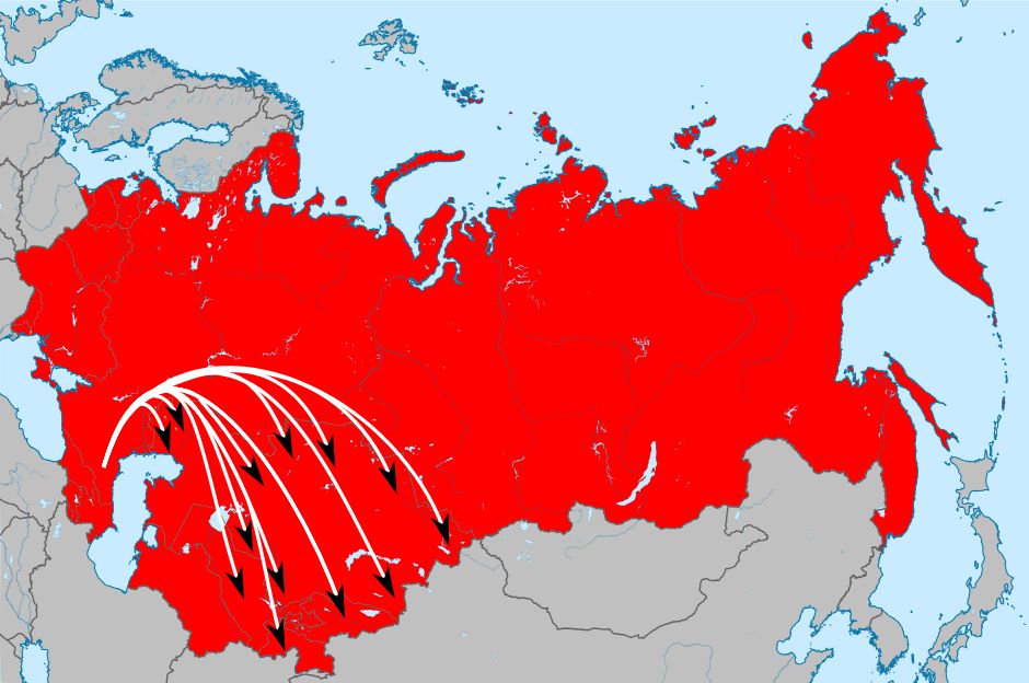 Справедливость для репрессированной пенсионерки: история успеха через суд