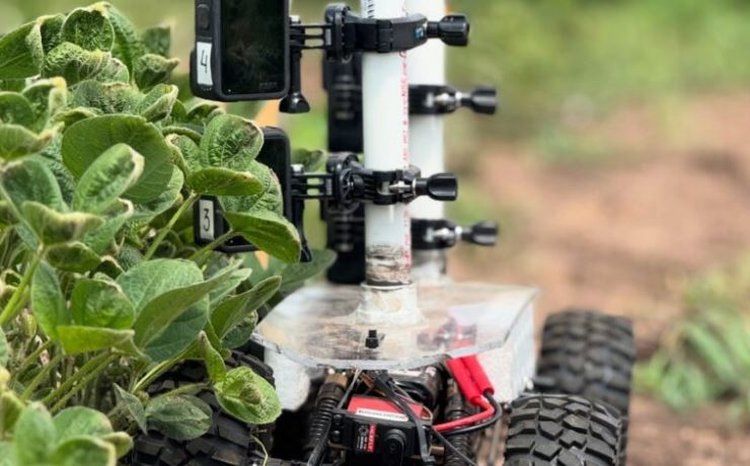 Сохранение цветков сои: как минимальные изменения могут привести к росту урожайности