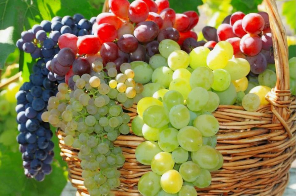 Когда полезность овощей и фруктов может быть преувеличенной