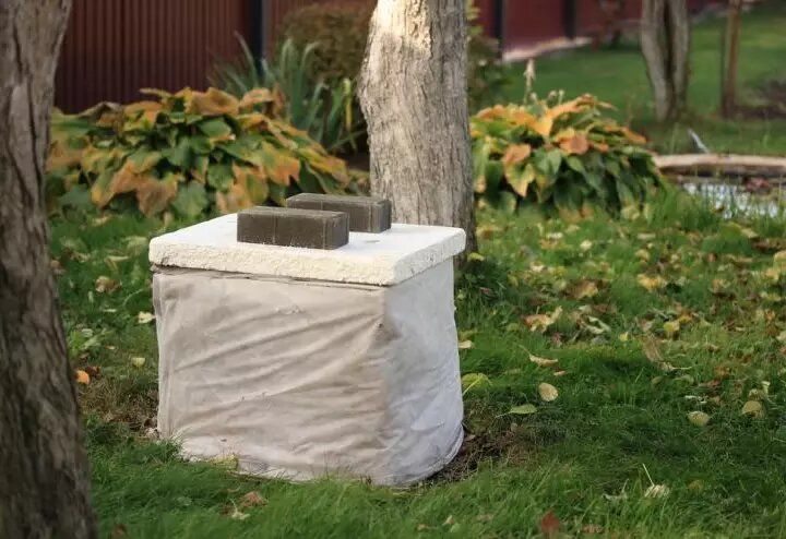 Подготовка сада к зимнему сезону