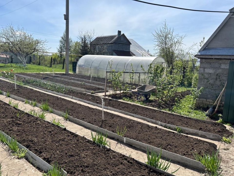 Как сделать автоматический полив для вашего сада без лишних затрат