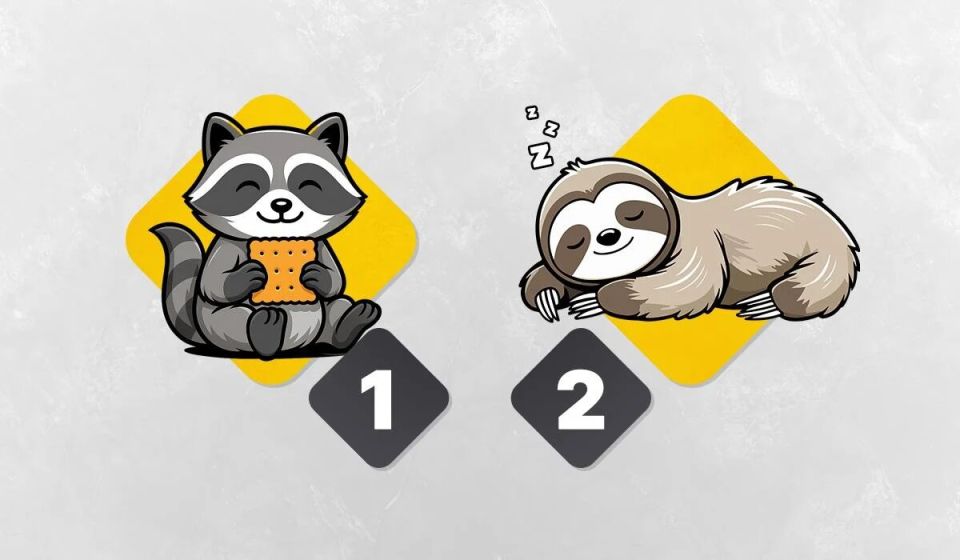 Как определить свой хронотип: тест для современной жизни