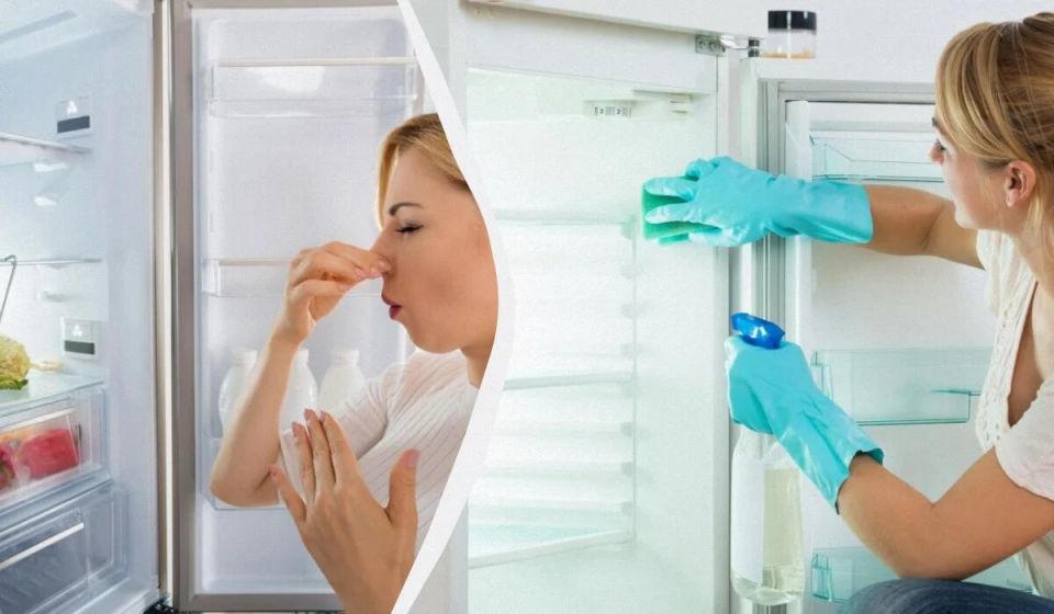 Как просто освежить холодильник: неожиданный совет от эксперта
