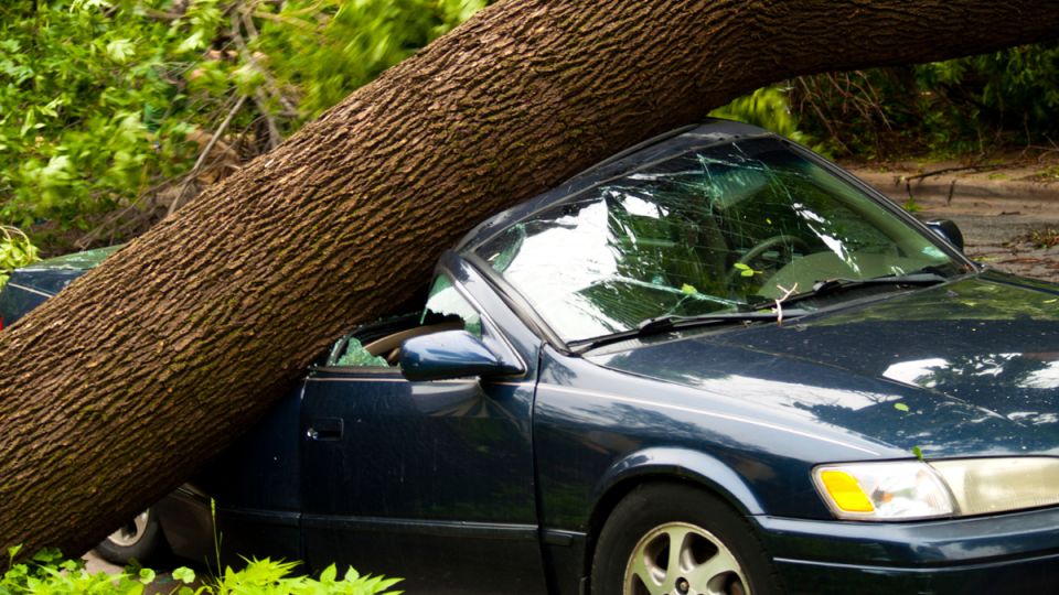 Когда неожиданные беды подстерегают: как упавший столб стал причиной серьезного ущерба