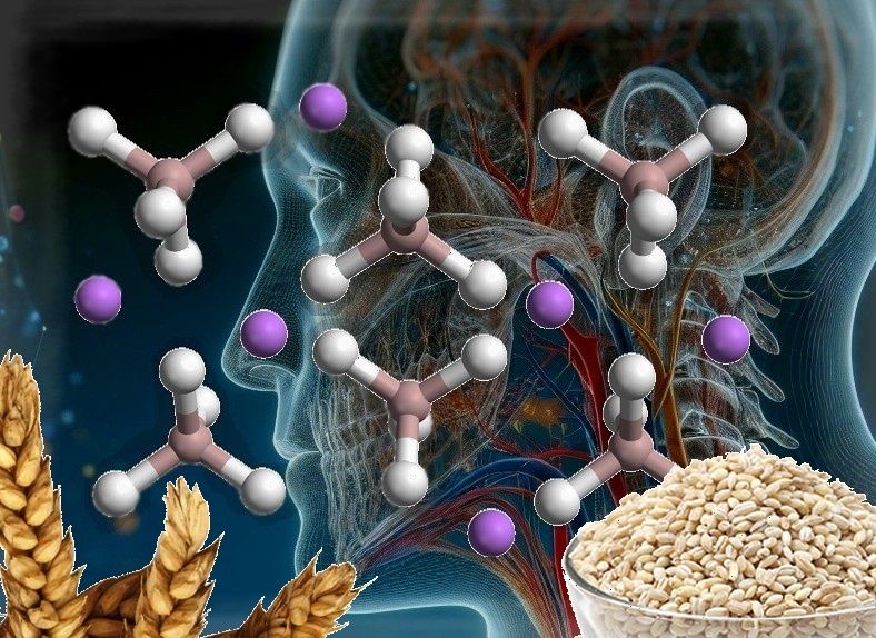 Секреты здоровья мозга: как литий может защитить от деменции
