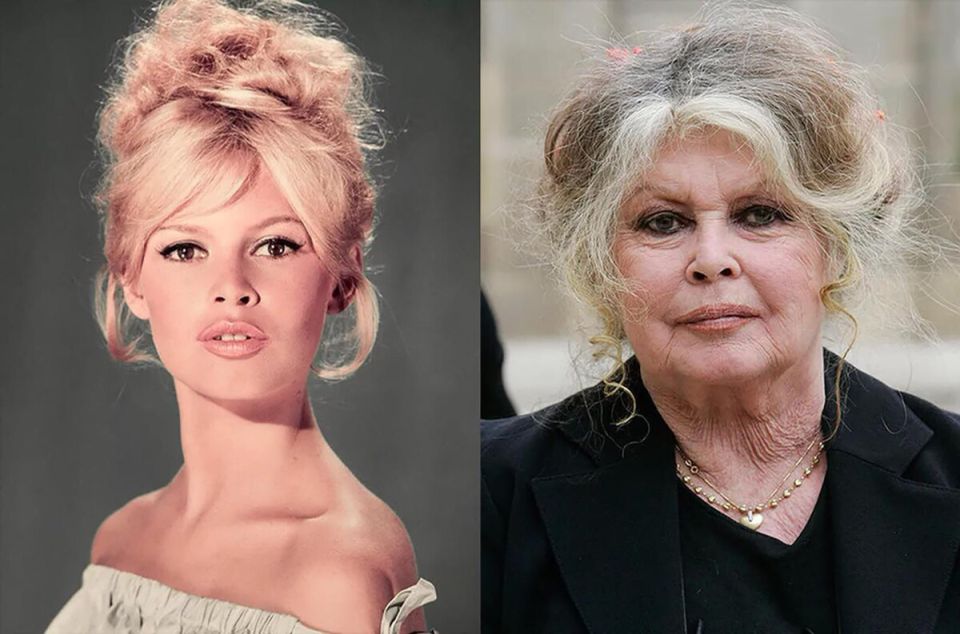 ��� ������� ����� 50 ������� �������: ����� �� ������ �����