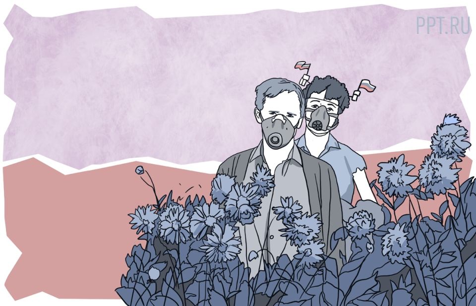 Как борщевик Сосновского угрожает вашим дачным участкам