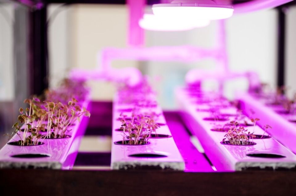 ��� ��������� ������ �� �������� �������� ������: ����� ��������� � ���������