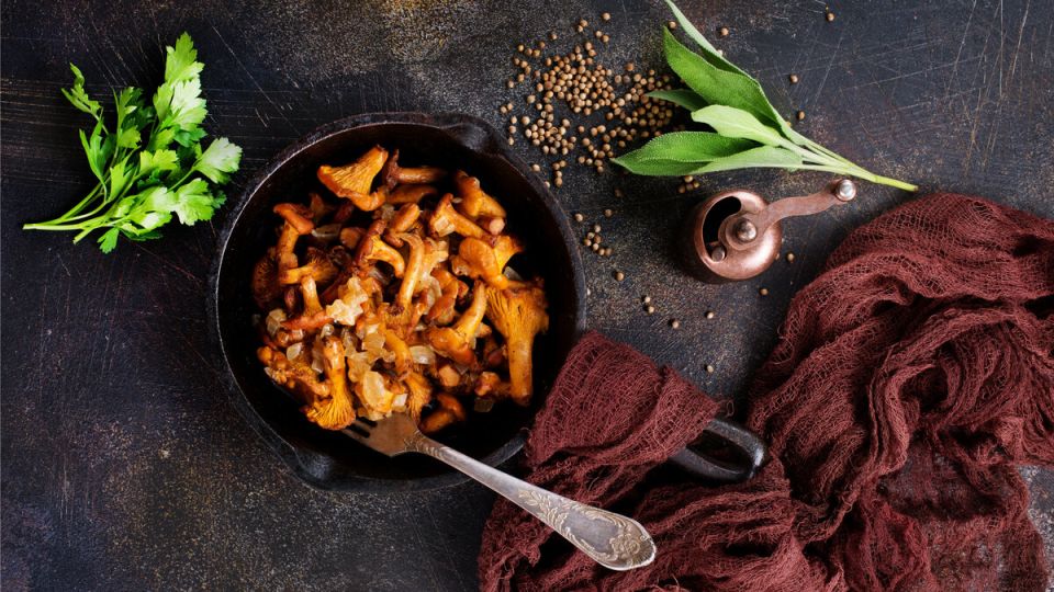 �����: �������� ��������� ��� ������ ��������?