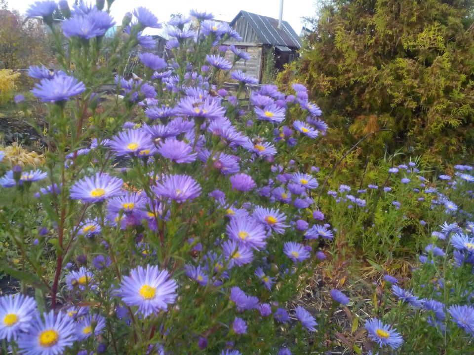 �� ��������� ������: 11 ������������ ������ ��� ������ ���� � 2025 ����