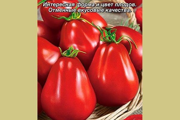 Томаты «Винный кувшин»: экзотика с урожайностью и вкусом