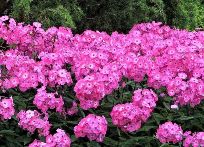 ������ � ����: ��� �������� �������� �������� ��������