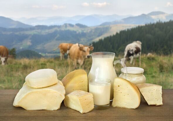 Фермерский сыр: искренний вкус природы и труд на грани искусства