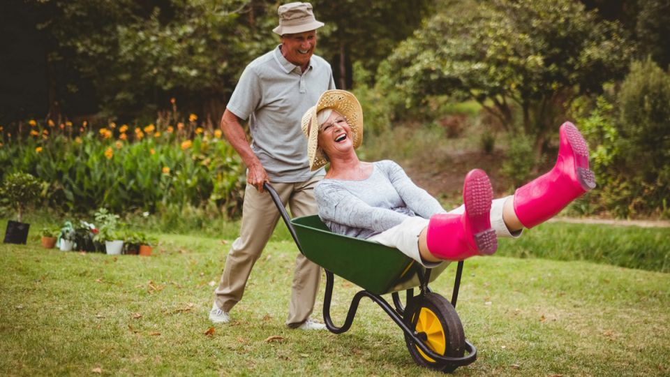 ����������-�������: ����� ����������� ��� �������� ��������� ������������� �������