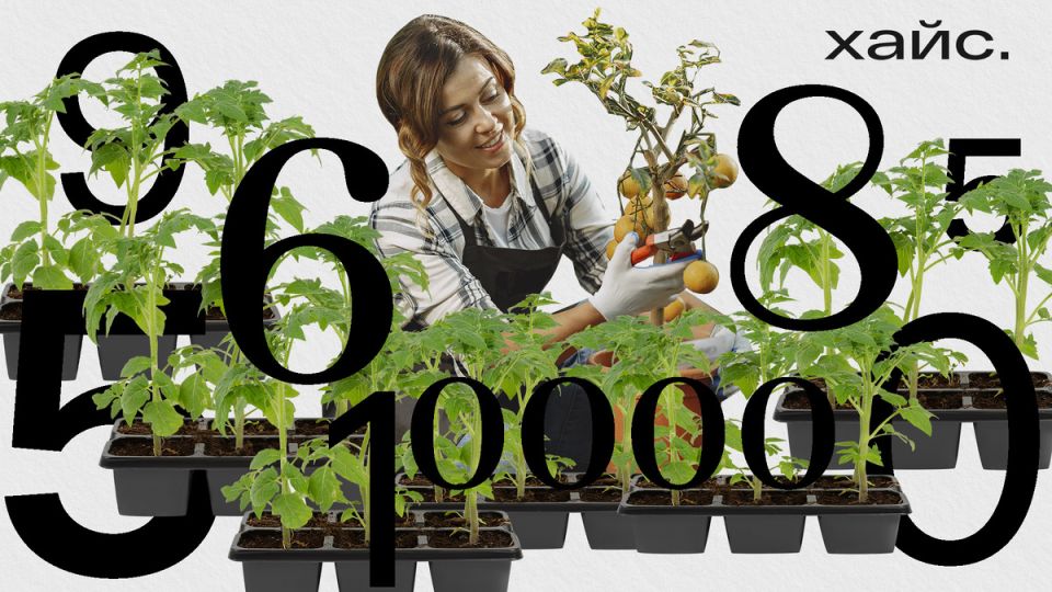 ��� ������� ���������� ������������� � ����� �� ������ � 40 ���