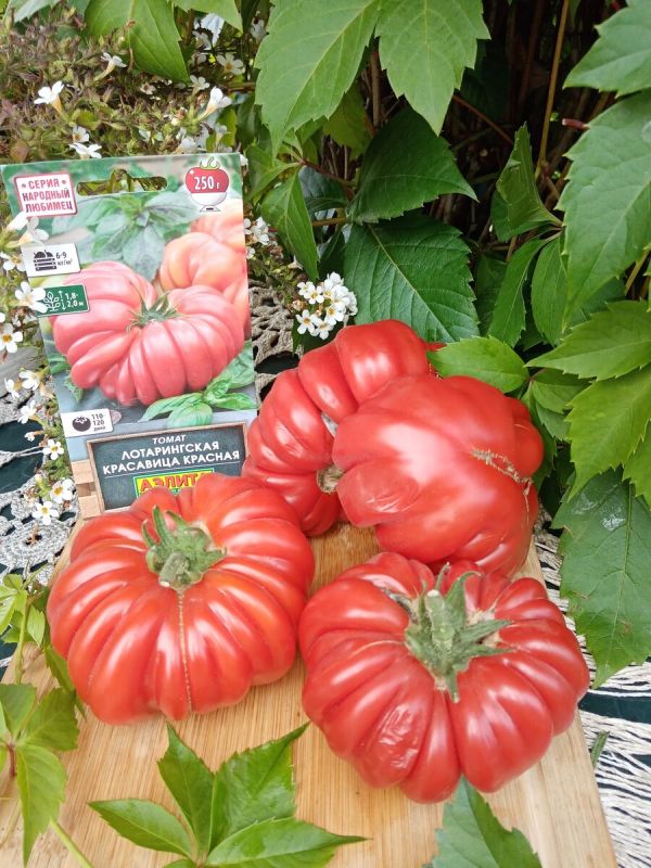 ������ '������������ ���������': ������� ����������� � �������