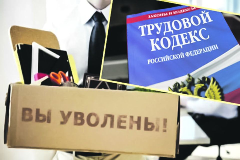 ��� ������� ������� 3 �������� � ������ ������� ������������: ����, ������� ������ ����������� ����