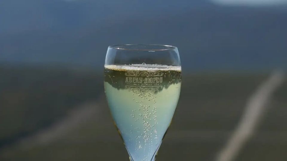 �������� ���� Brut d�Or Riesling �������� ������� ������ Top100Wines