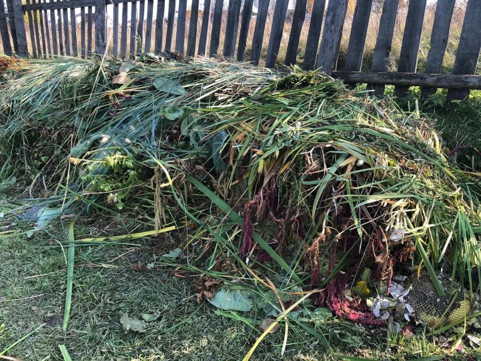 Как ускорить компостирование: секреты для быстрого разложения даже в зимний период