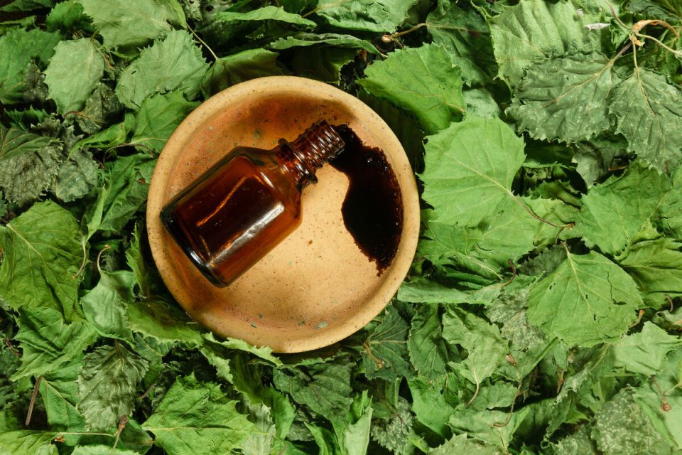 �������� �����: 18 ��������� �������� ������������� � �����������