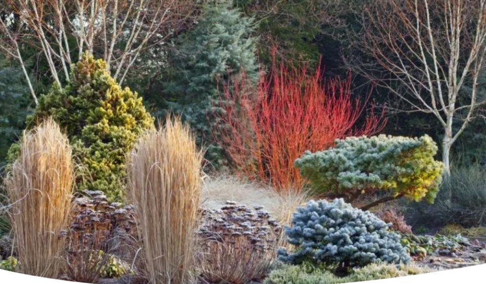 ������ ���: ��� ������� ��������� ����� � �������� ����� ����