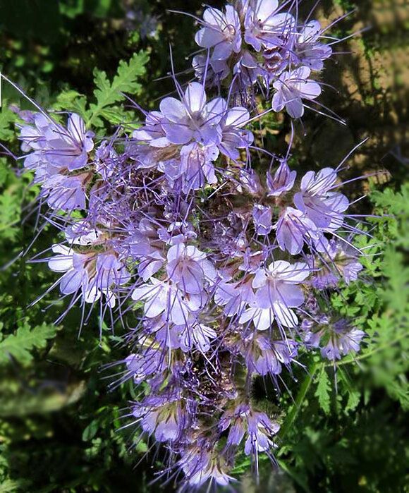 ��������: ������� ��������� ���������� ��� ����� ��������?