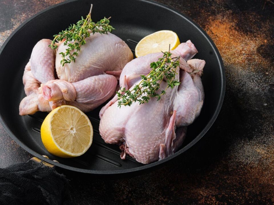 ���� �� ����� ������: ������ ���������