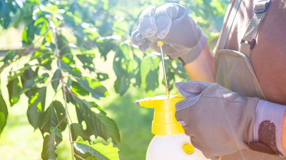 ��������� ������� ������������� � ����: ������ ��� ������ ���� ��������� �� ������