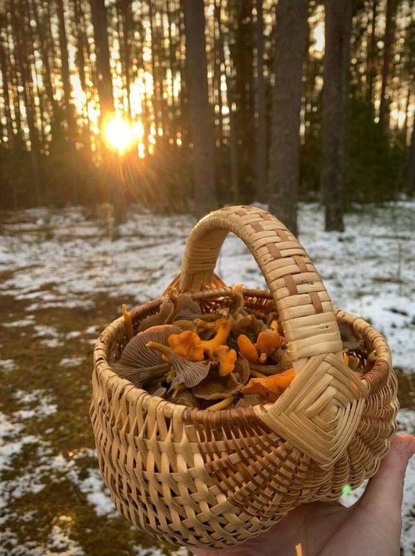 ����� �� �������!