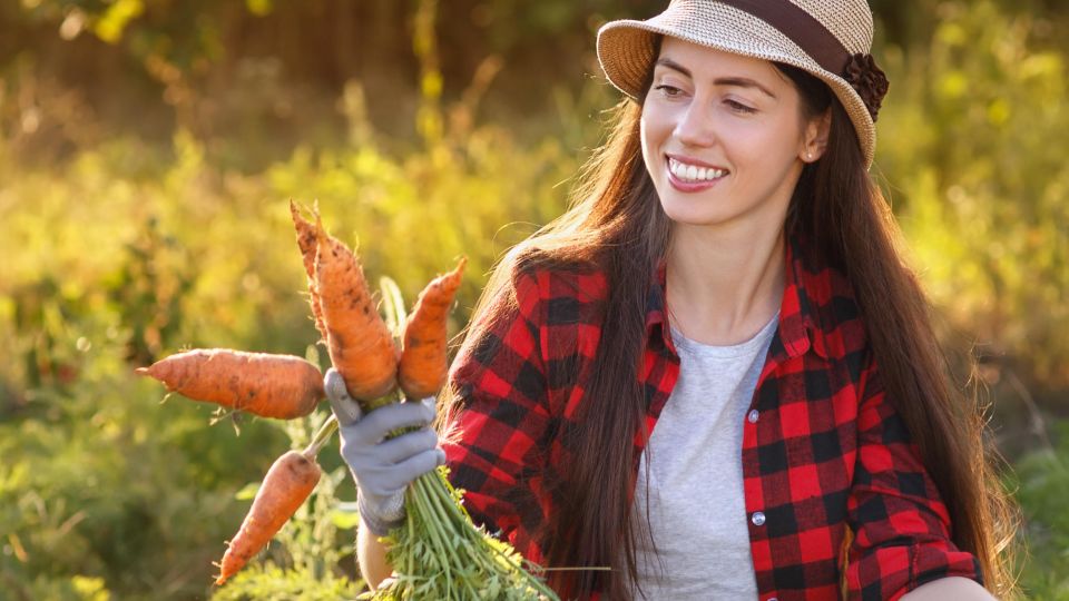 �����������, ����� ����� ����� �������: ��� ���� �������� ������� �������