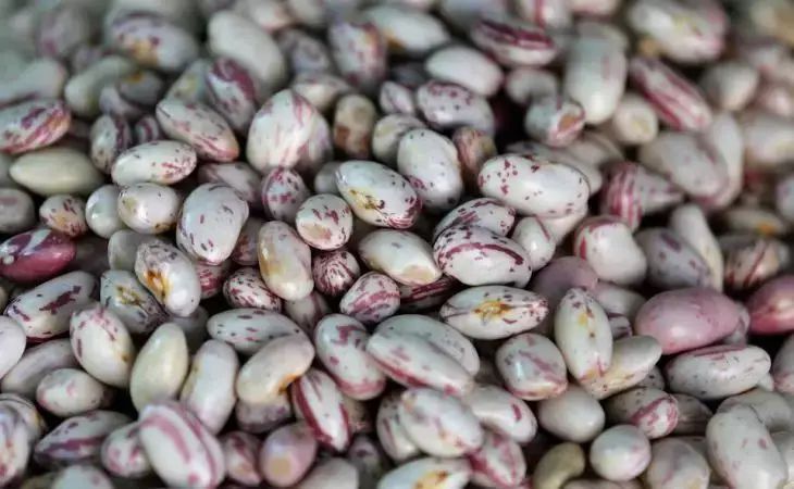 ��� ������ ������� ������ ��� ����������� � ������� ����, � ������� ����� �� ���