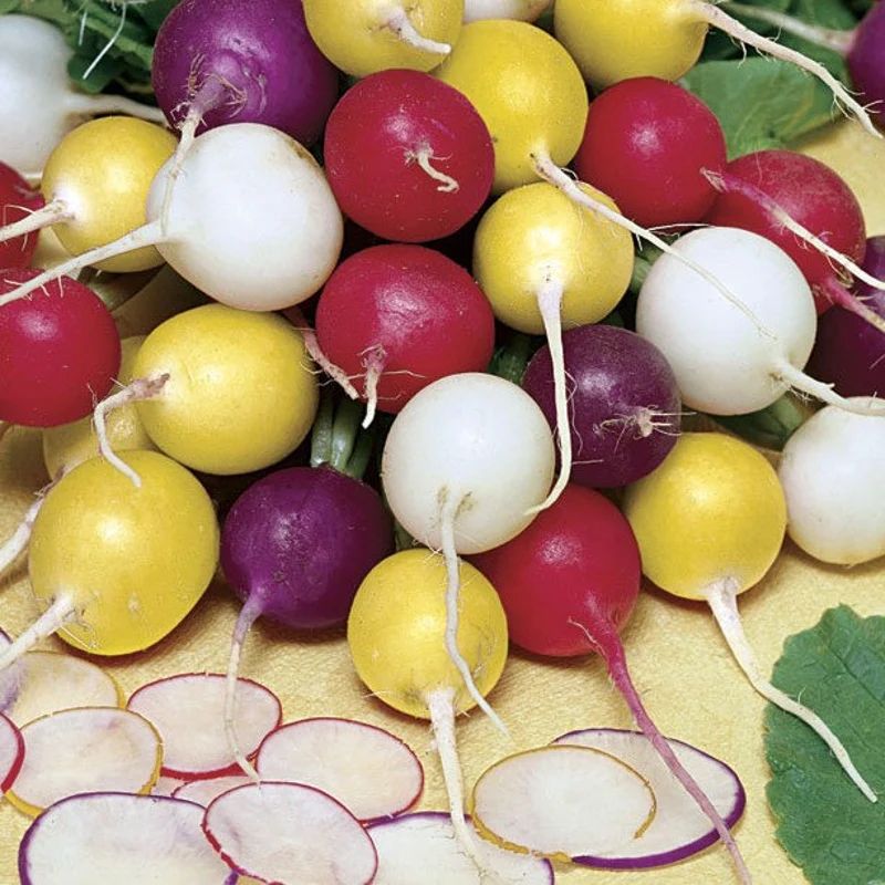 ����� ������ ���������: 10 ������������ ������, ������� �� ���� � �������