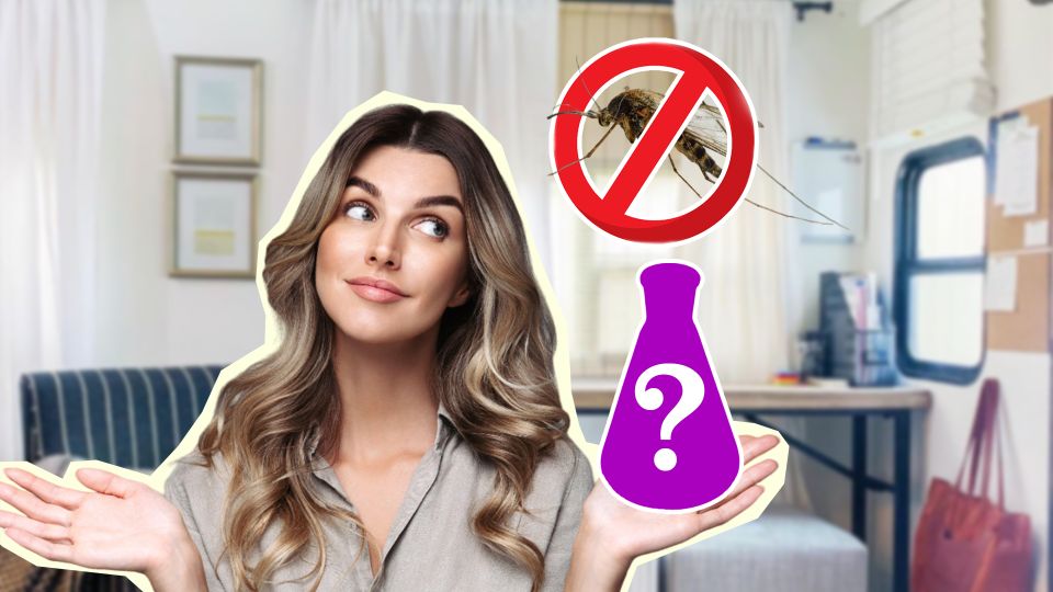 �� ���� ����� �� ���������� � �������: �������� � ��������� ����� � �����������