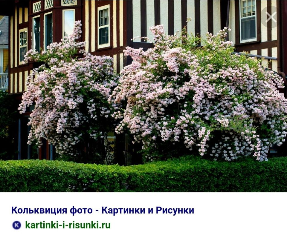 ������� ������������ ������: ���������� � ������������ �������� ����� �����