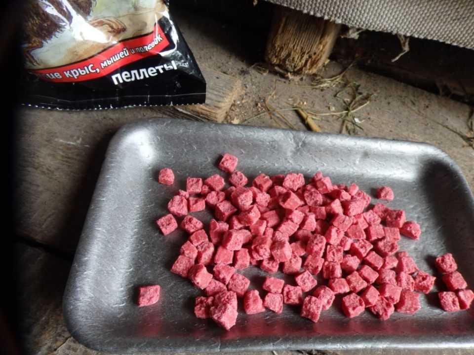 ��� ���������� �������� � ������ � �������: �������� �������� � �������