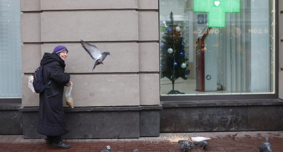 ��������� ������: ����� ���� ������ � 2026 ����