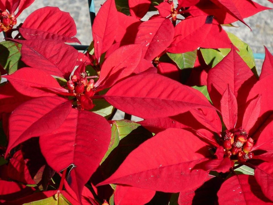 ��� ������� ��������� ���������� ��� ������� ������