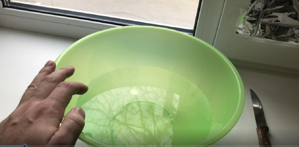 ����������� �������� ��� ��������� ����: ������� ������� �� ������ ����