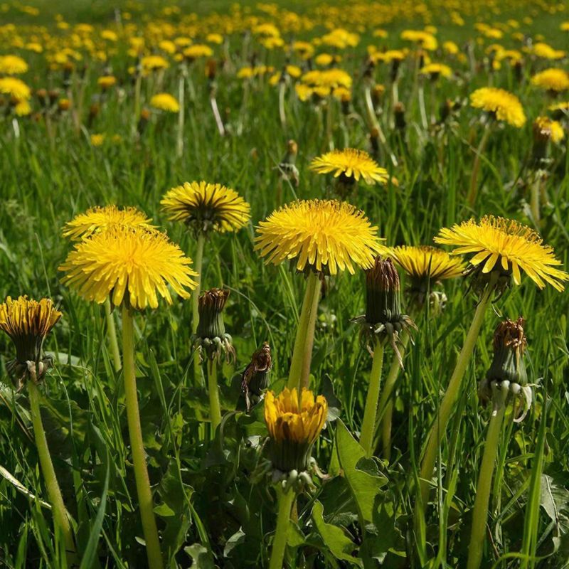 ���������: ��� ��� �������� �������� ���������� ��������� ������� ������ ���