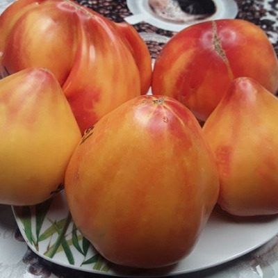 ����� ��������� �����: ����� ������ ��� ��������� ������