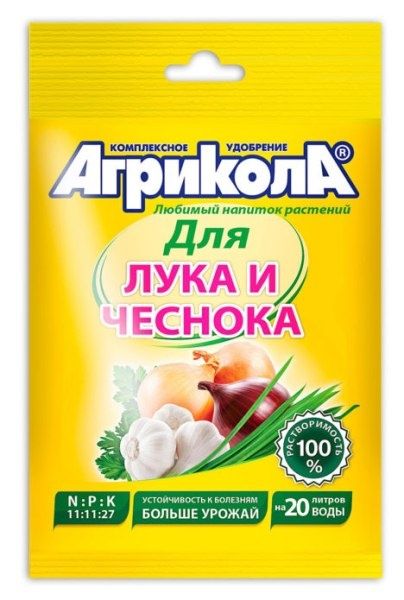 Секреты успешной подкормки лука: как добиться крупного урожая