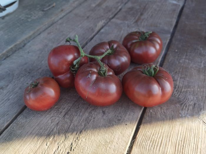 ����� ���������� �����: ��� �������� ������������� ������ �� ����������� �����